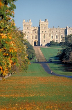 Autumn leaves carpet the ground either side of the long walk at Windsor Castle, the largest inhabited castle in the world.